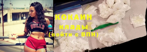 дживик Горняк