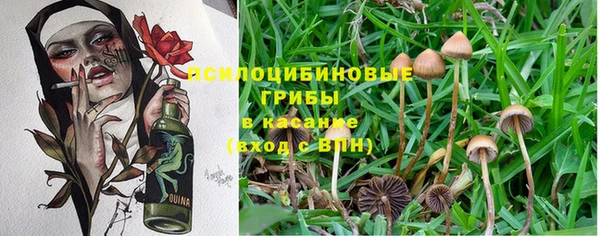 скорость mdpv Вяземский