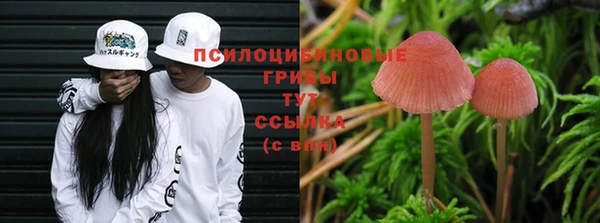 дживик Горняк