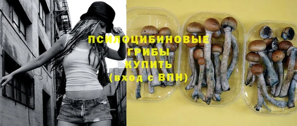 2c-b Семёнов