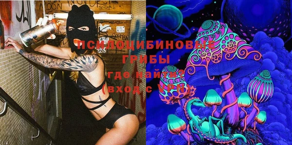 соль ск Верея