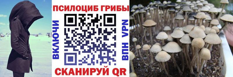 Псилоцибиновые грибы Magic Shrooms  Ермолино 